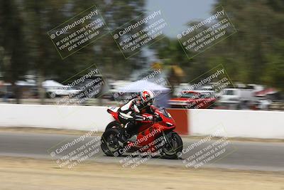 media/Sep-07-2024-Pacific Track Time (Sat) [[9bb89f5e83]]/B group/Front Straight 1220pm/